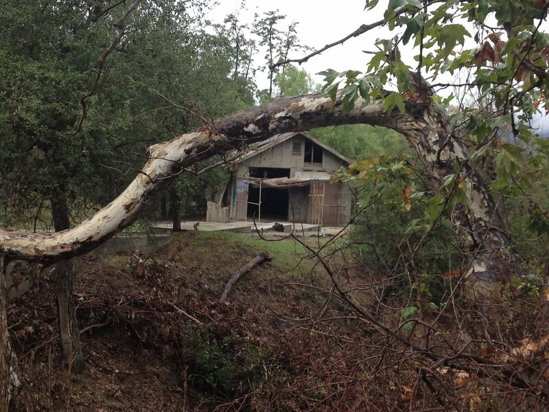 Abandoned Los Angeles Zoo - Atlas Obscura