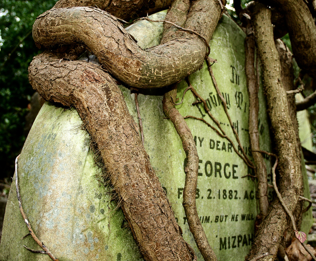 Highgate Cemetery in London