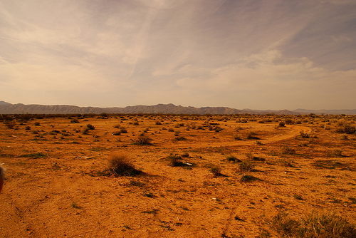 Obscura Day in California City