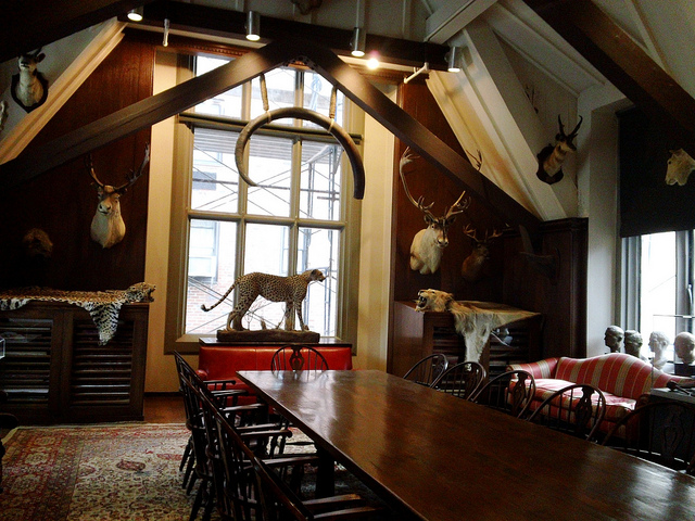 Explorers Club Trophy Room - International Taxidermy - Atlas Obscura Blog