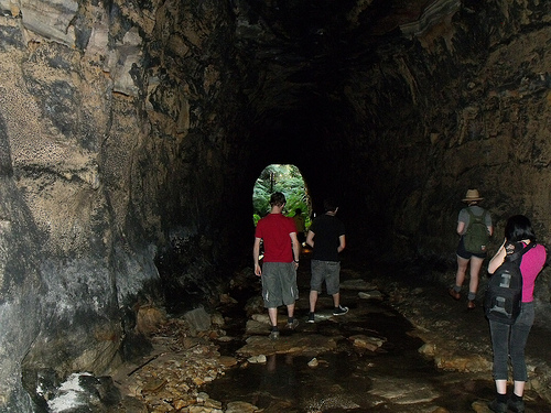 Newnes Glow Worm Tunnel on Obscura Day