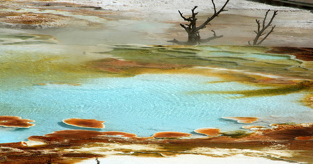 Yellowstone Glacial Basin Pools - Atlas Obscura Blog